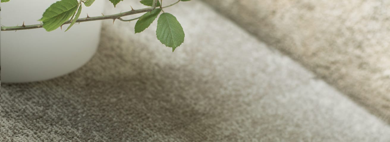 Balsan collectie