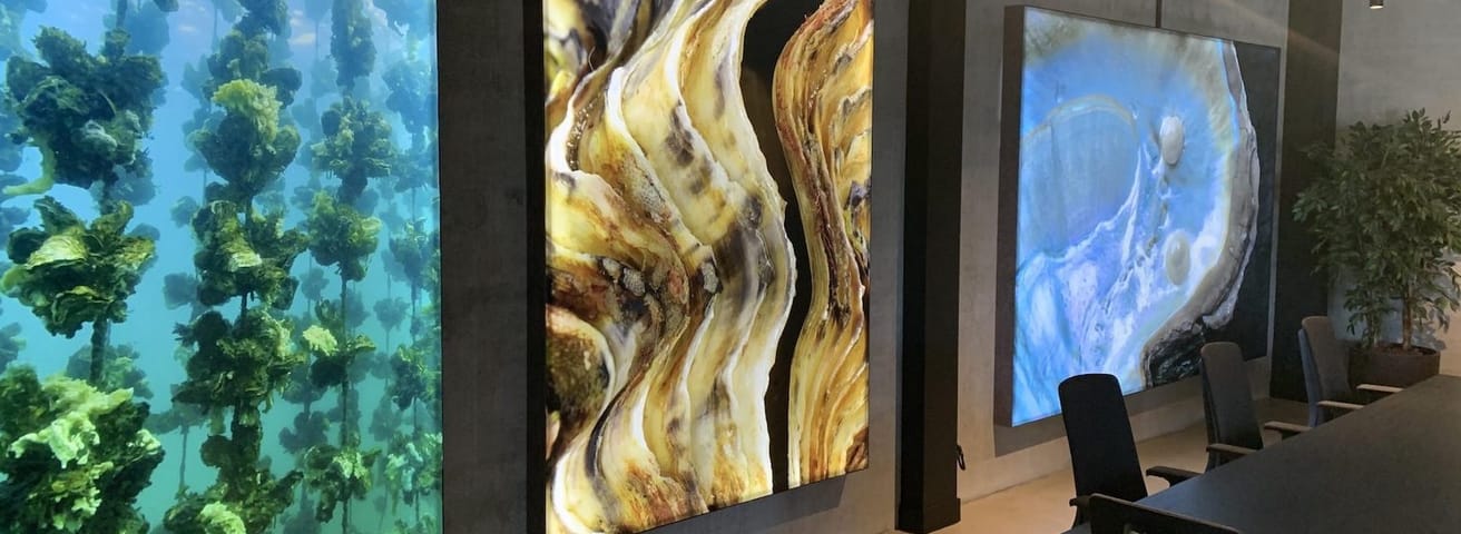 Meinema collectie