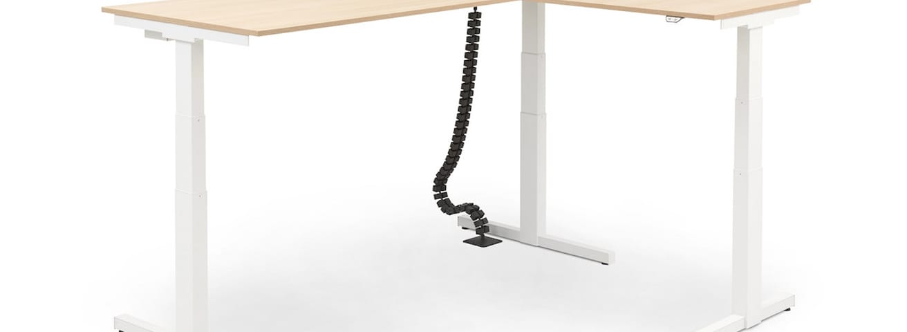 Voortman collectie