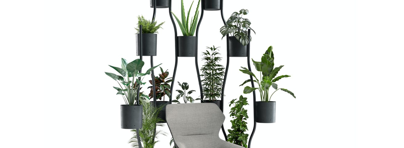 Brunner collectie