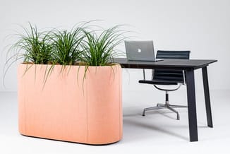Roze plantenbak met hangend groen naast zwart bureau met laptop en zwarte bureaustoel tegen witte achtergrond.