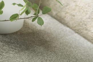 Grijze stofbeklede bank met groene plant in witte pot op houten vloer, minimalistisch interieur.
