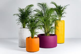 Vier gevilde plantenpotten in verschillende kleuren (grijs, oranje, paars, geel) met groene planten tegen witte achtergrond.
