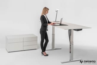 chique bureau zitsta