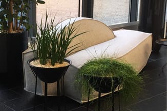 Beige loungebank met kussens en armleuningen, geflankeerd door zwarte plantenbakken met grassen, in moderne kantooromgeving.
