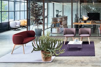 Modern kantoorlounge met rode gebogen fauteuil, twee paarse stoelen, cactus in pot, paarse tapijt en glazen wanden naar werkp