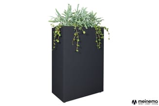 Zwarte rechthoekige plantenbak met grijsgroen blad- en hangplanten tegen witte achtergrond.