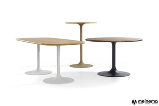 Vier tulip-tafelmodellen met ovale en ronde houten bladen in licht en donker hout, op witten, beige en zwart gietijzeren voet