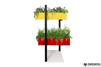 Staand plantenbak systeem met zwart stalen frame, twee rechthoekige bakken in geel en rood met hangende planten, op grijs voe