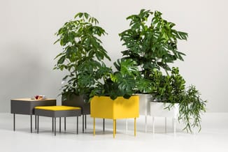 Kantoormeubels met plantenbakken: gele en grijze nachtkastjes met metalen poten naast witte plantenbak met groene planten teg