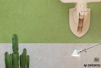 Groene wandbekleding met grijze sockel, cactus, houten wanddecoratie en cliplamp in modern interieur.