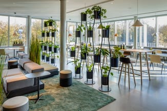 Modern kantoorruimte met grijze lounge banken, zwarte hangende plantenbakken, houten barkrukken aan hoog bureau, groene tapij