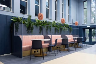 Moderne kantoorlounge met roze zitbanken, zwarte stoelen, houten tafels, zwarte akoestiekschermen met hangende planten en kop