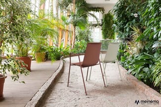 Bruine en witte stoelen in kas met zandvloer, omgeven door potplanten en groene vegetatie langs wanden.