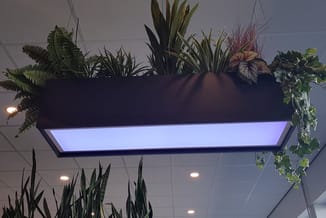 Hangende plantenbak met zwart frame en blauwe LED-verlichting, beplant met diverse groene planten en siergrassen in kantoorom
