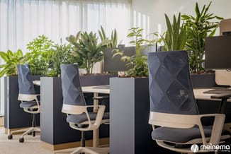 Kantoorwerkplek met ergonomische bureaustoel in blauw en naturel, zwarte scheidingswanden met groen potplanten, laptops op ho