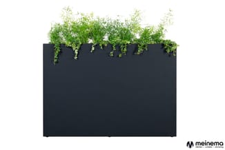 Zwarte plantenbak met hangend groen en kruidenplanten tegen witte achtergrond.