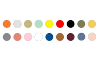 Kleurenpaletpalette met 18 ronde kleurstalen in twee rijen, waaronder oranje, grijs, geel, rood, zwart, blauw, bruin en aarde