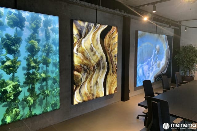 Kantoor met drie grote wandschermen: linksonderwater-fotografie met bomen, midden abstract gouden patroon, rechts blauwe jell