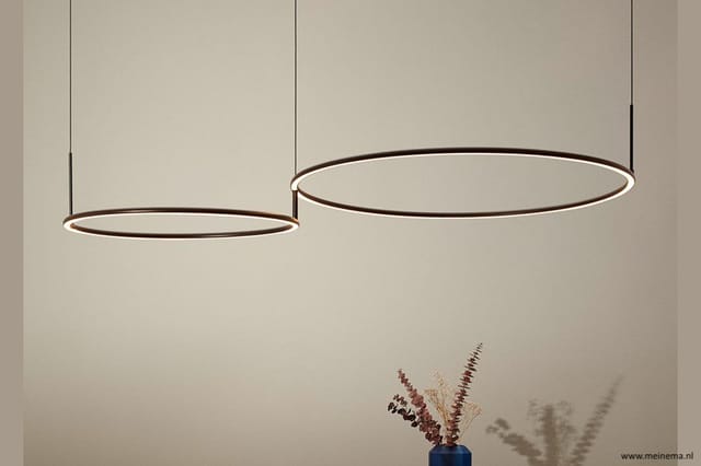 Twee hangende LED-ringlampjes met zwart frame boven een vaas met droogbloemen tegen neutrale wand.