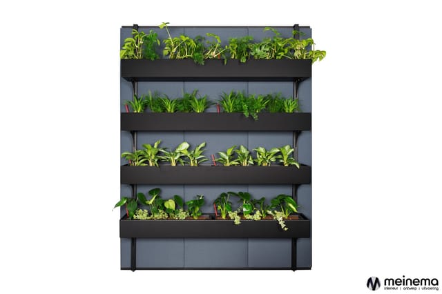 Verticale tuinwand met vijf zwarte plantenbakken tegen grijze achtergrond, gevuld met diverse groene planten en kruiden.