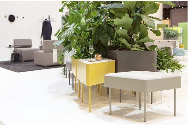 Kantoorinrichting met gele en witte lage tafels, grijze loungebanken, grote plantenbakken en groene planten in modern interie